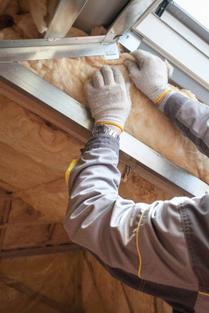 Best Cellulose Insulation in North Braddock, PA