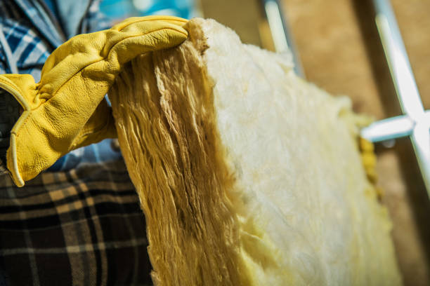 Trusted North Braddock, PA Insulation Contractor Experts